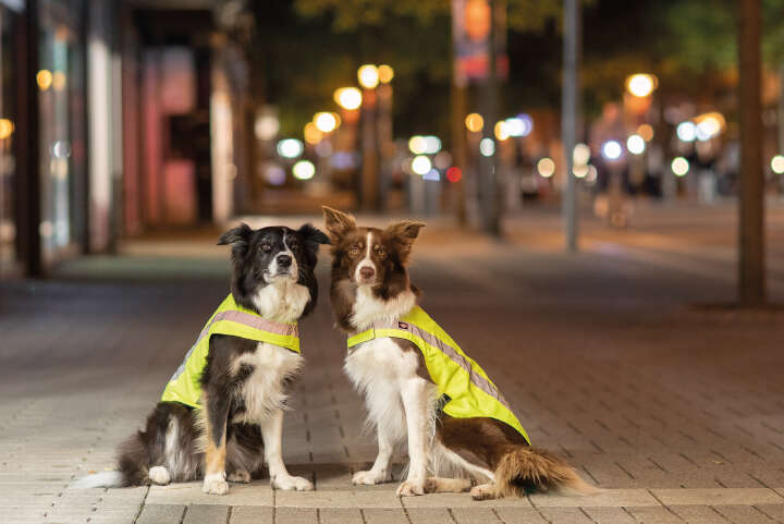 TRIXIE Sicherheitsweste für Hunde